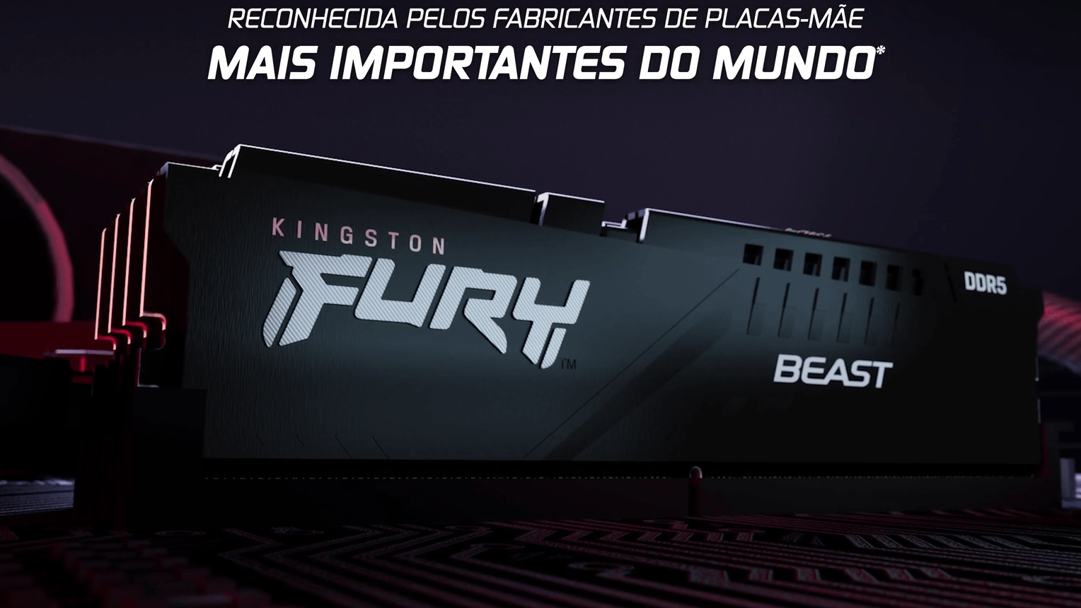 captura de tela de 2026 07 31 17 56 22